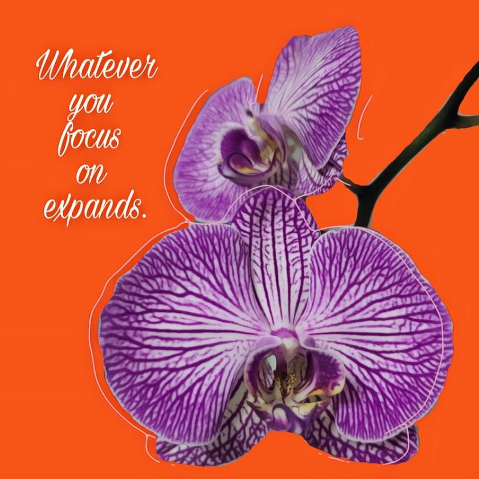 Orchid Card with Whatever you focus on expands, plant designs by Merry