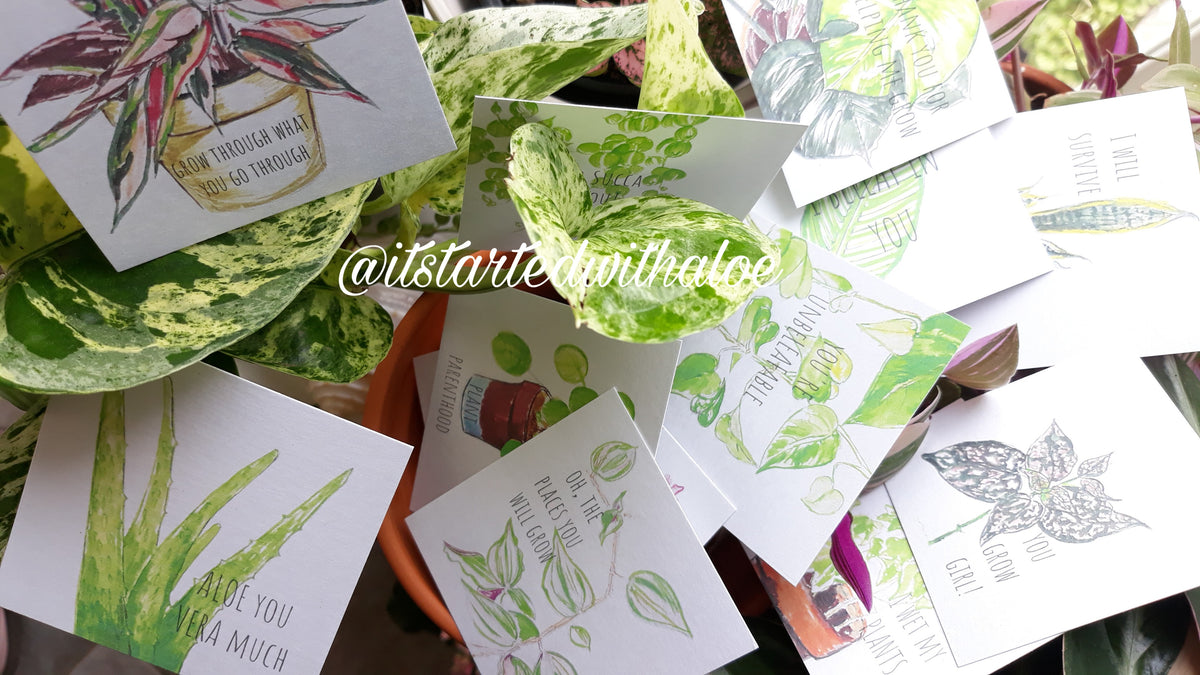 14 assorted 2.5" by 2.5" plant card with puns designs by Merry