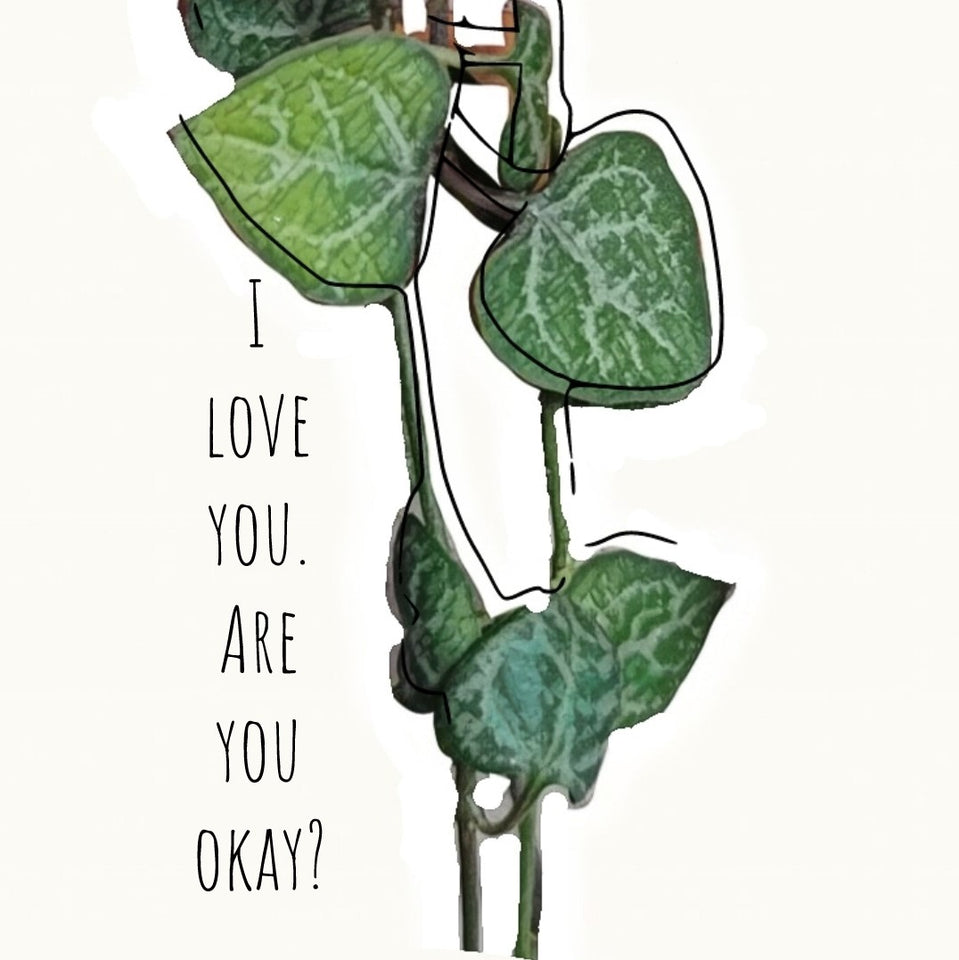 String of Hearts card, I love you. Are you okay? Plant designs by Merry
